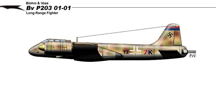 Cyber A�ro Breton - BLOHM UND VOSS P203