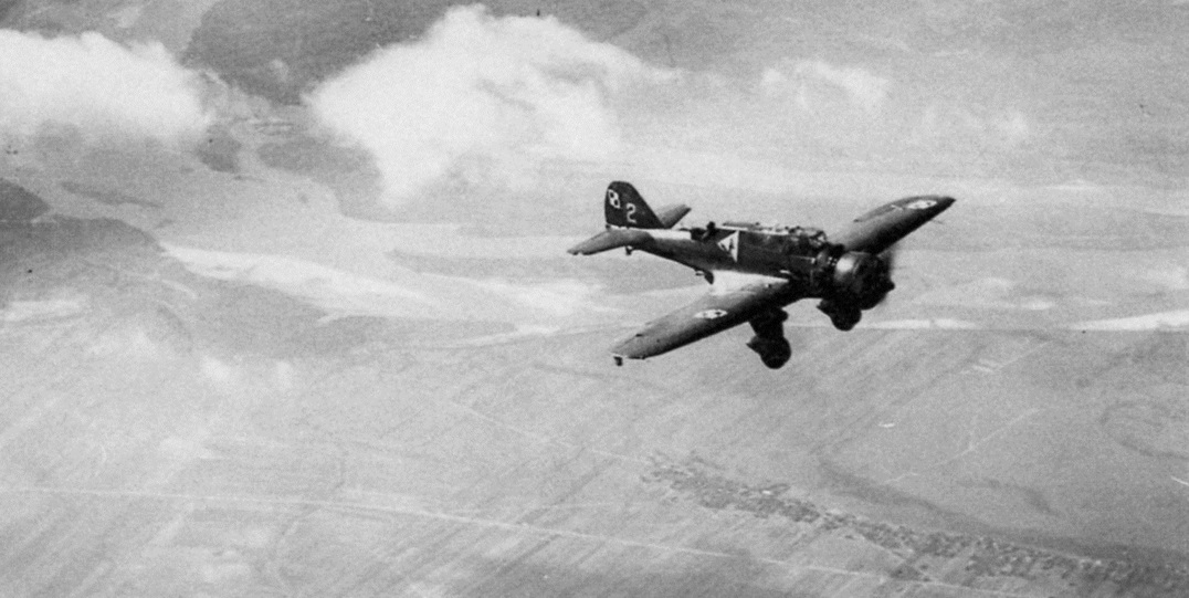 Cyber A�ro Breton - PZL P.23.B KARAS B