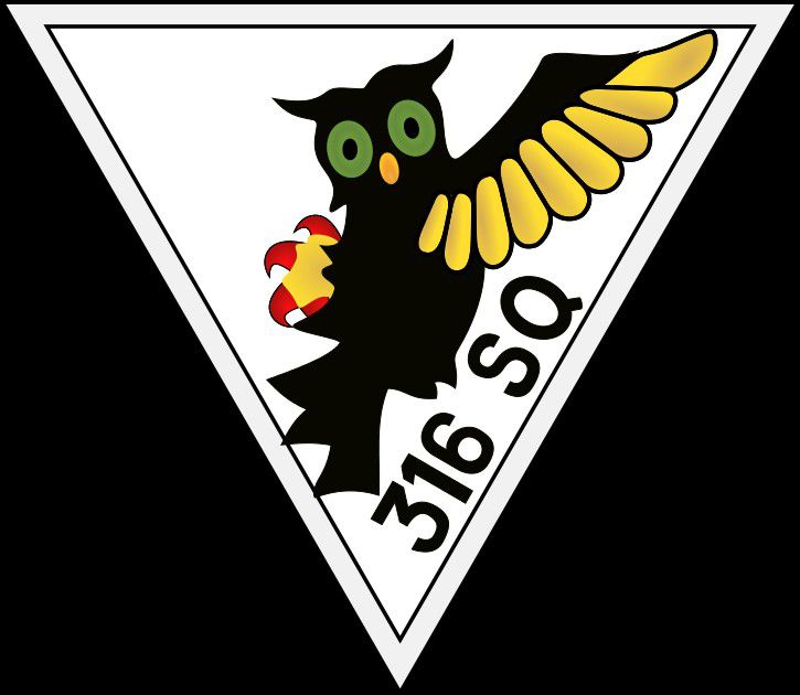 Cyber A�ro Breton - squadron 316