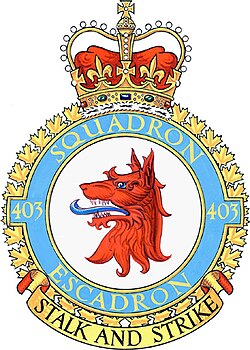 Cyber A�ro Breton - squadron 403